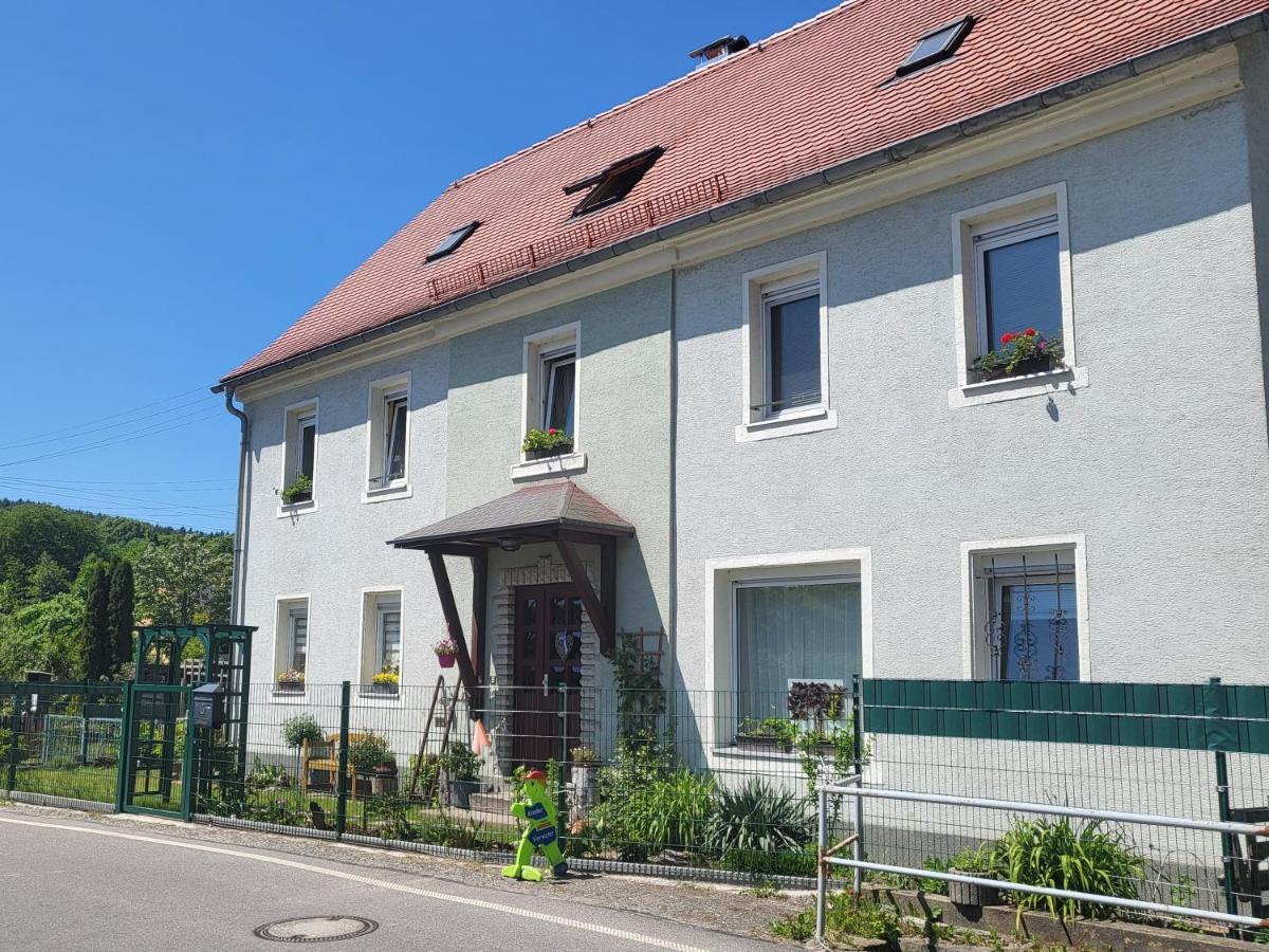 Ferienwohnung Simmert Kurort Gohrisch Exterior foto